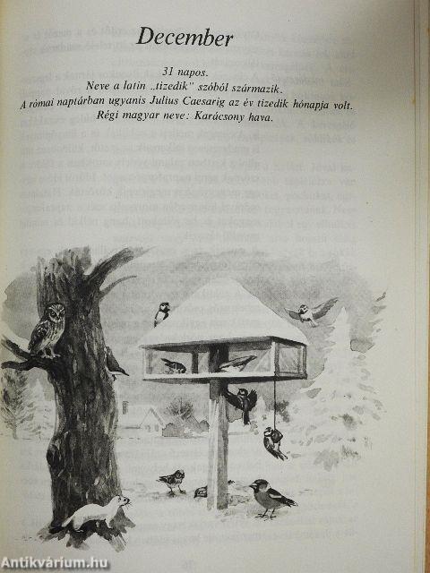 Tarkabarka állatvilág