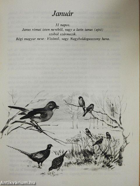 Tarkabarka állatvilág