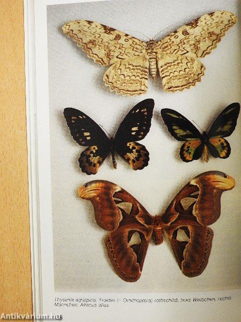 Naturhistorisches Museum Wien