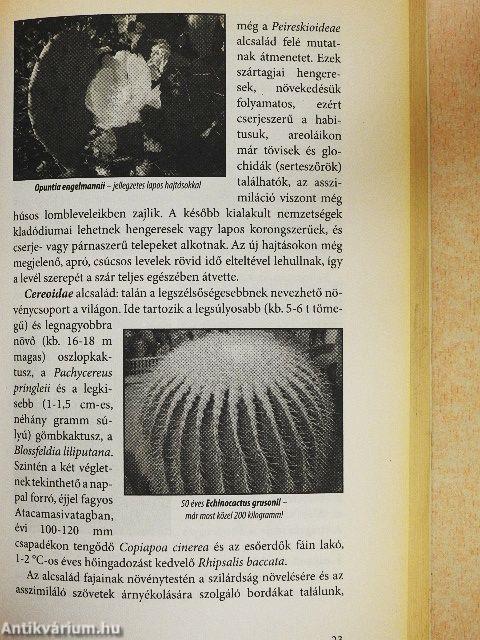 Kaktuszok kislexikona