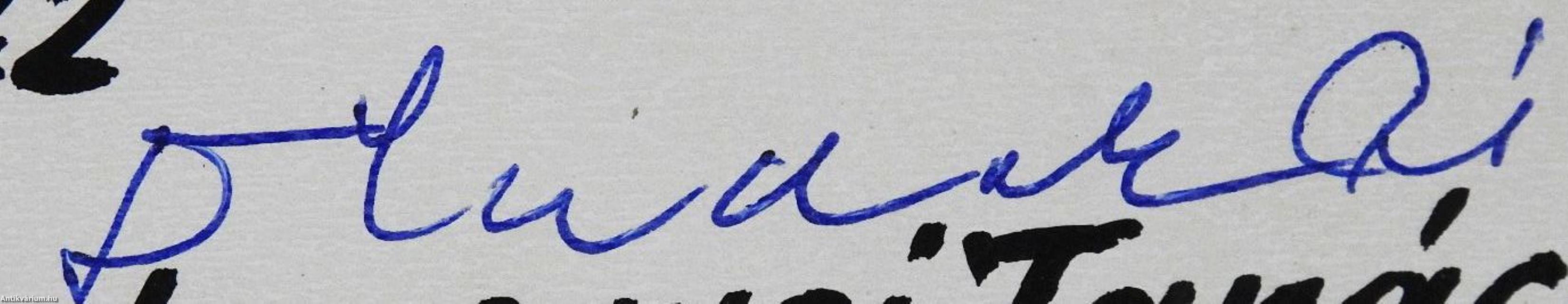 Pest megye képekben (aláírt példány)