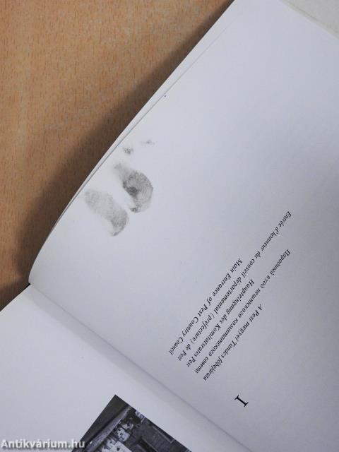 Pest megye képekben (aláírt példány)