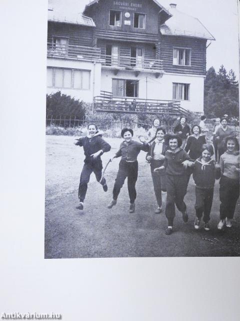 Pest megye képekben (aláírt példány)