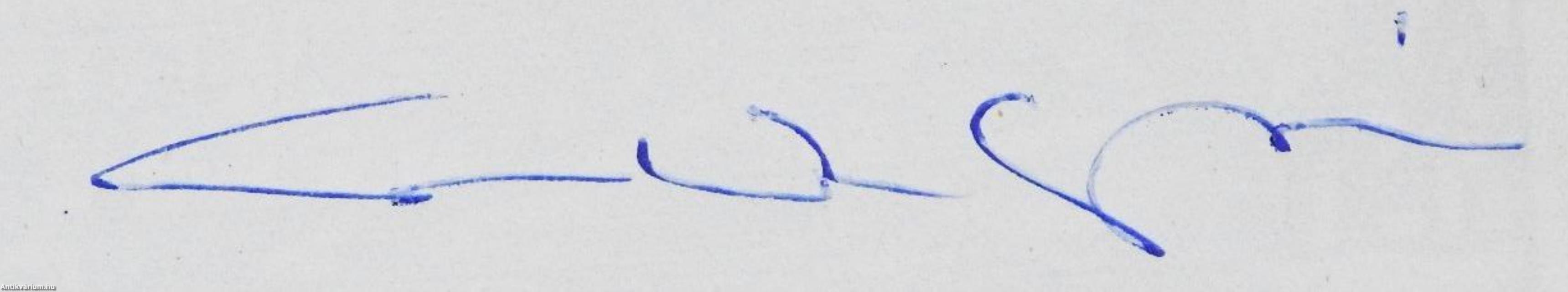 Küzdelem a tengerekért (dedikált példány)