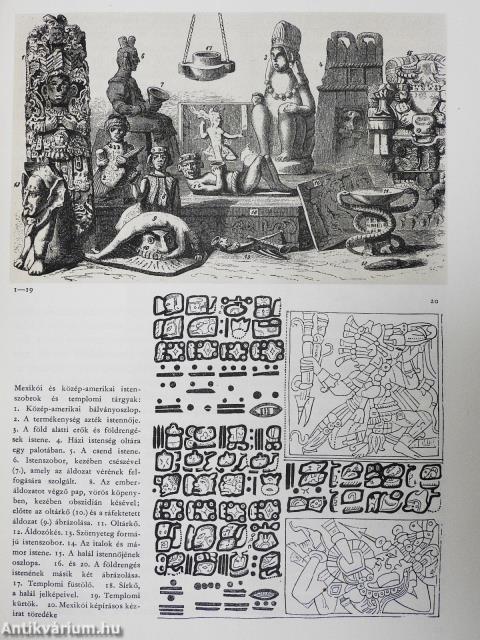 Küzdelem a tengerekért (dedikált példány)