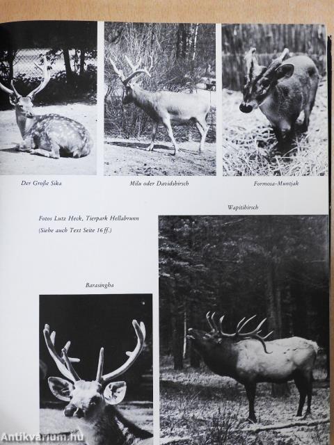 Das große Hirschbuch (dedikált példány)