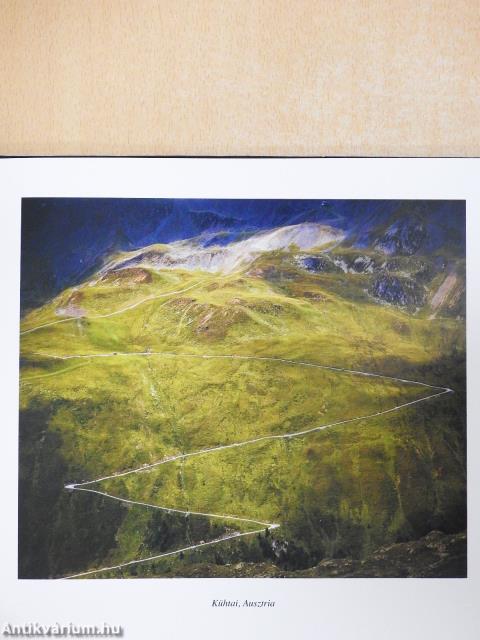 Képírás (dedikált példány)