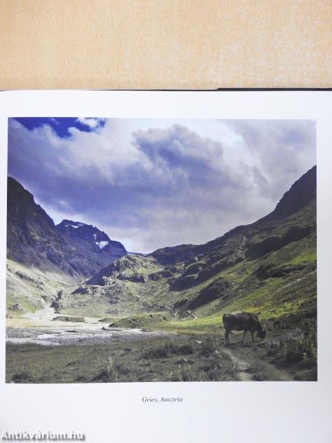 Képírás (dedikált példány)