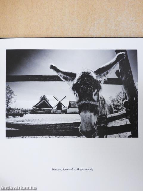 Képírás (dedikált példány)