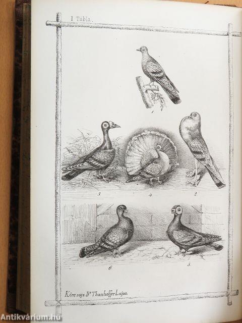 Természettudományi Közlöny 1869/1-9.