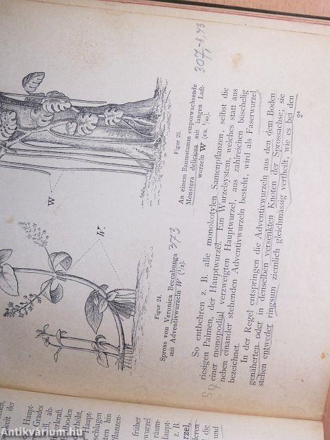 Lehrbuch der Botanik