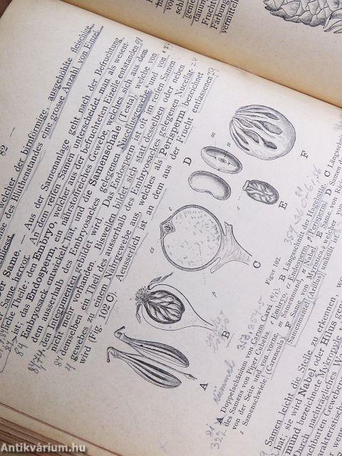 Lehrbuch der Botanik