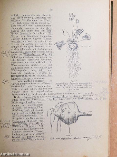 Lehrbuch der Botanik