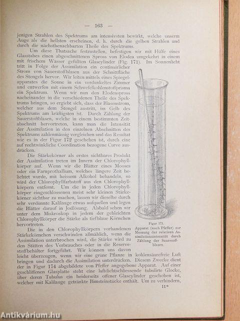 Lehrbuch der Botanik