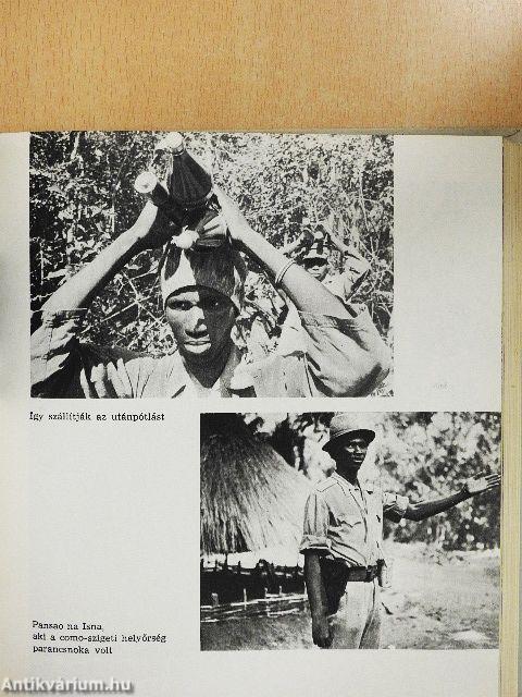 Szabadságharcosok között Afrikában