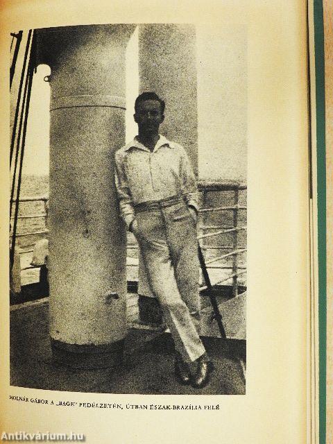 Holdárnyékban az őserdő