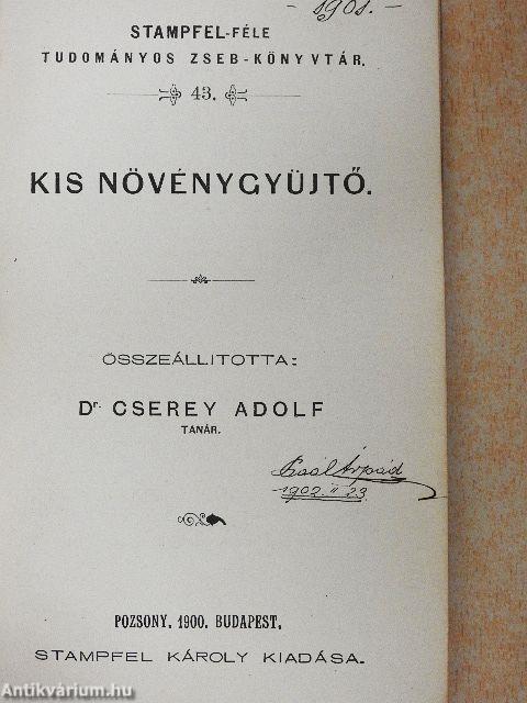 Kis növénygyüjtő