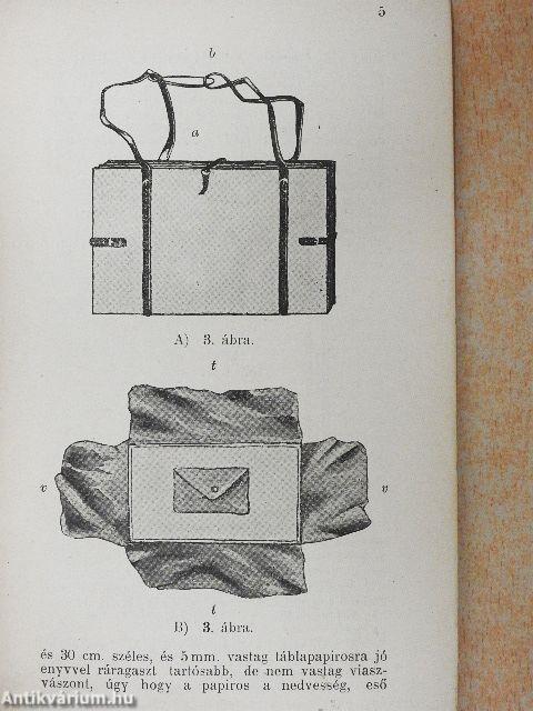 Kis növénygyüjtő