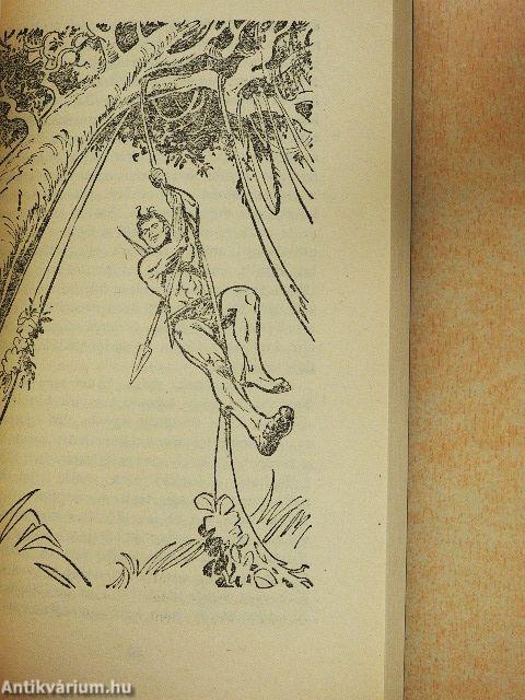 Tarzan és a gyémántok