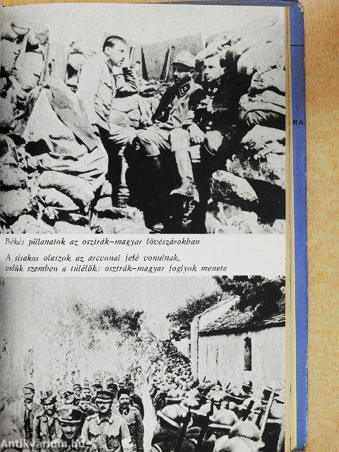 Doberdo, Isonzo, Tirol