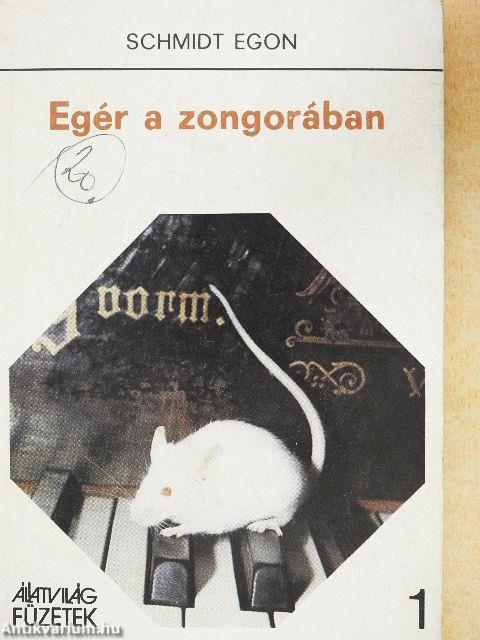 Egér a zongorában