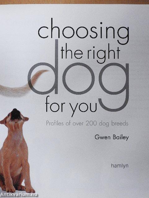 Choosing the right dog for you