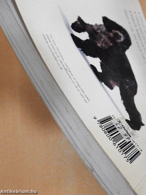 Choosing the right dog for you