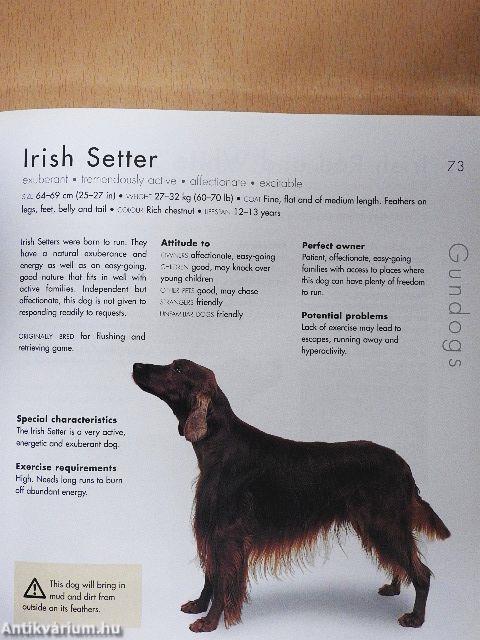 Choosing the right dog for you