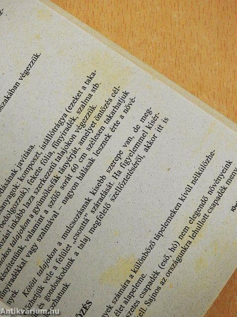 Ősztől őszig a kiskertben