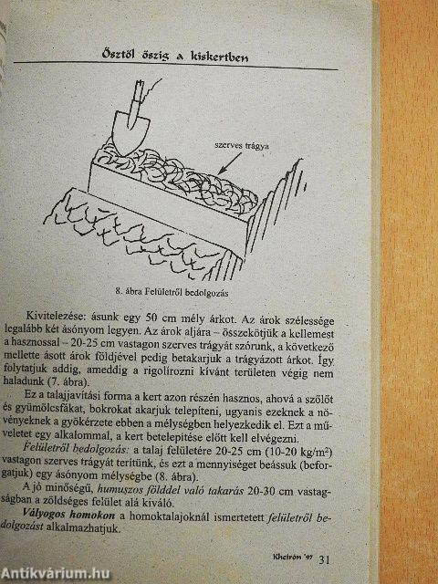 Ősztől őszig a kiskertben