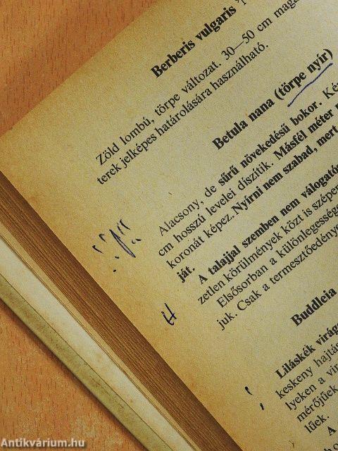 Kerítést élősövényből!