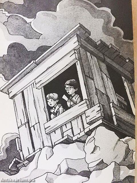 Polar Bears Past Bedtime