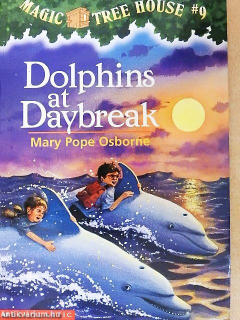 Dolphins at Daybreak