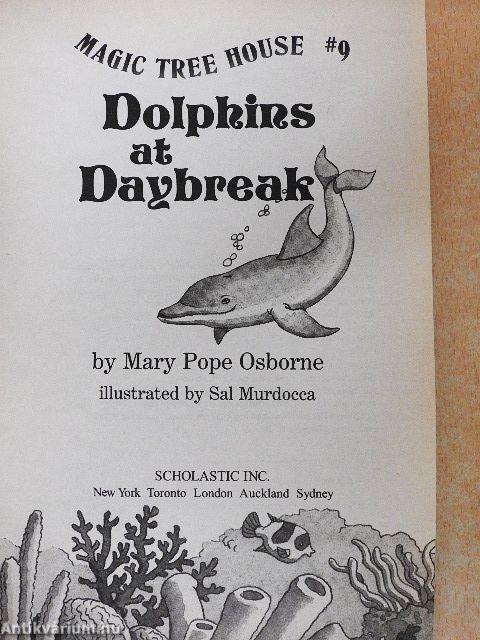 Dolphins at Daybreak