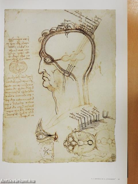 Leonardo da Vinci összes festménye és rajza