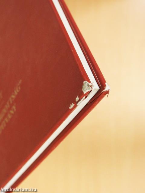 In Memoriam Vágó Pál (1853-1928)