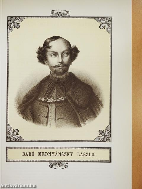 Az 1848-1849-iki Magyar Szabadságharcz vértanuinak emlékkönyve