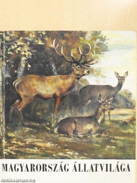 Vezető a Természettudományi Múzeum Magyarország Állatvilága kiállításához