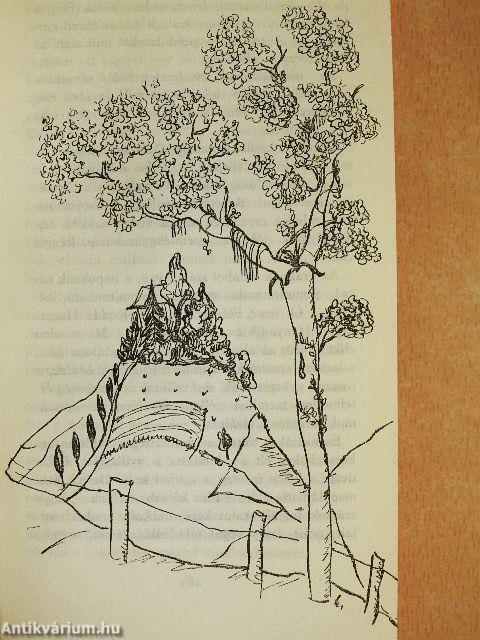 Egy nap a láthatatlan házban