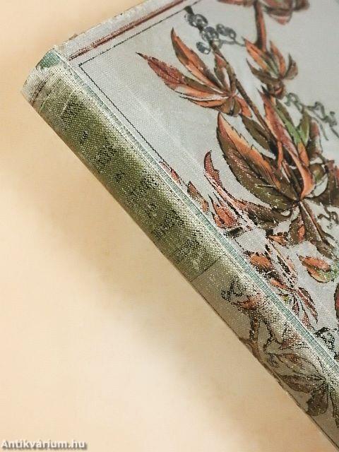 Die Bären von Hohen-Esp I-II. (gótbetűs)