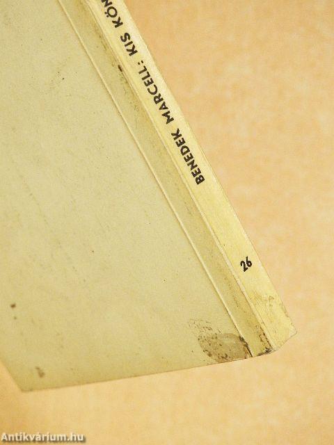 Kis könyv a regényről