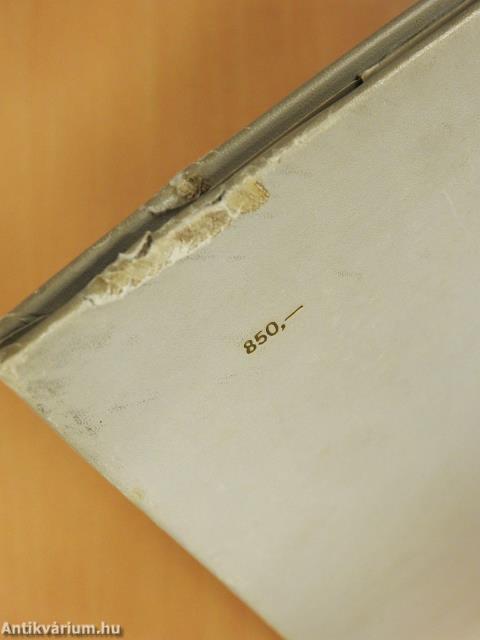 A magyarok bejövetele