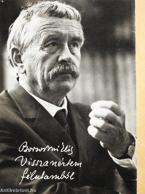 Visszanéztem félutamból