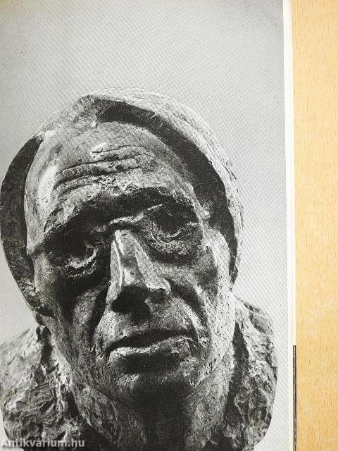 Visszanéztem félutamból