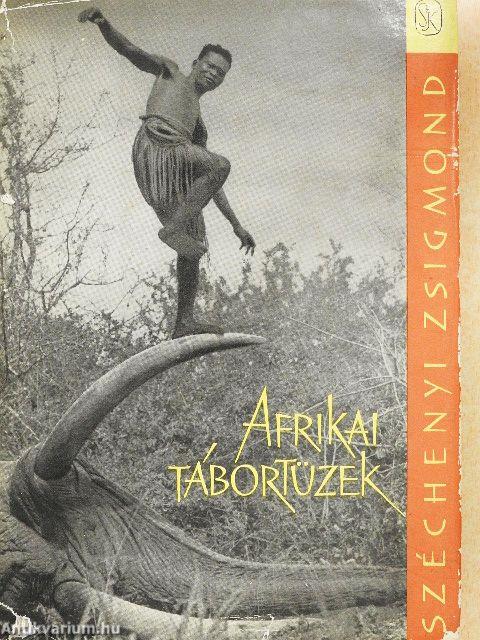 Afrikai tábortüzek