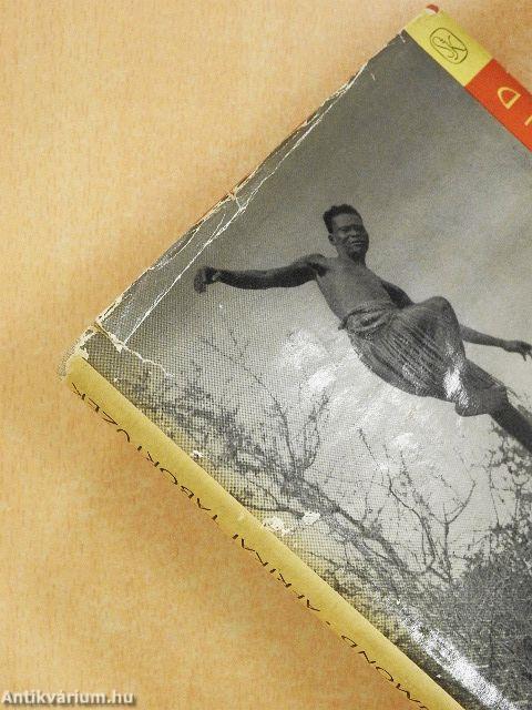 Afrikai tábortüzek