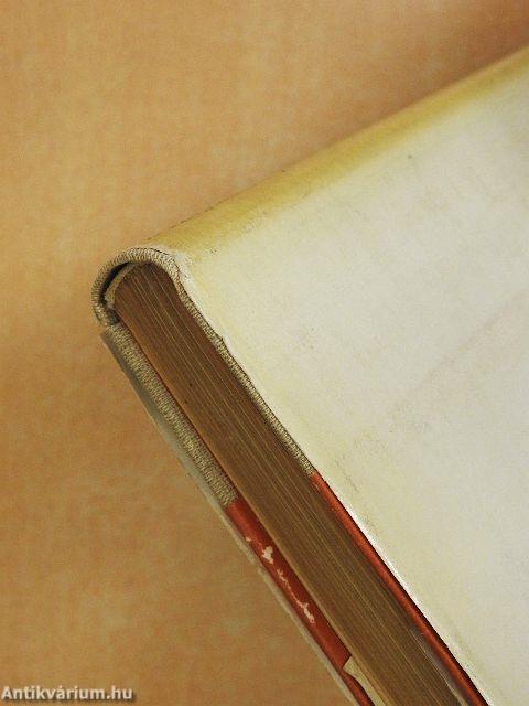 Afrikai tábortüzek