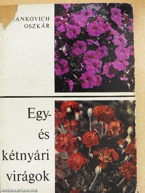 Egy- és kétnyári virágok