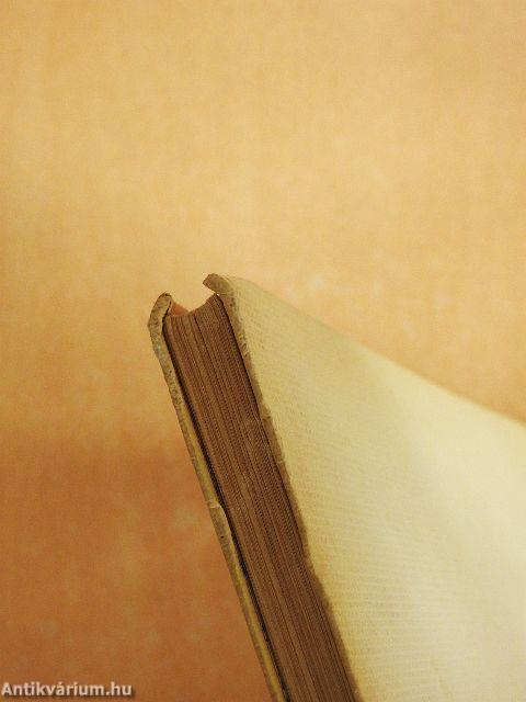 Képes angol nyelvkönyv gyermekeknek 2.