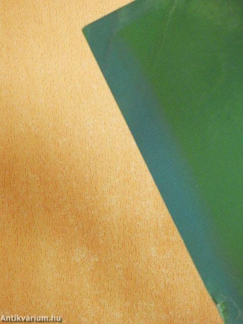 Noha vak voltam, - most látok